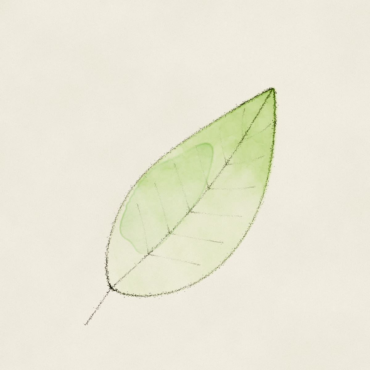 A green leaf with a pencil outline and veins, filled with layered watercolour that pools darker toward the lower edge